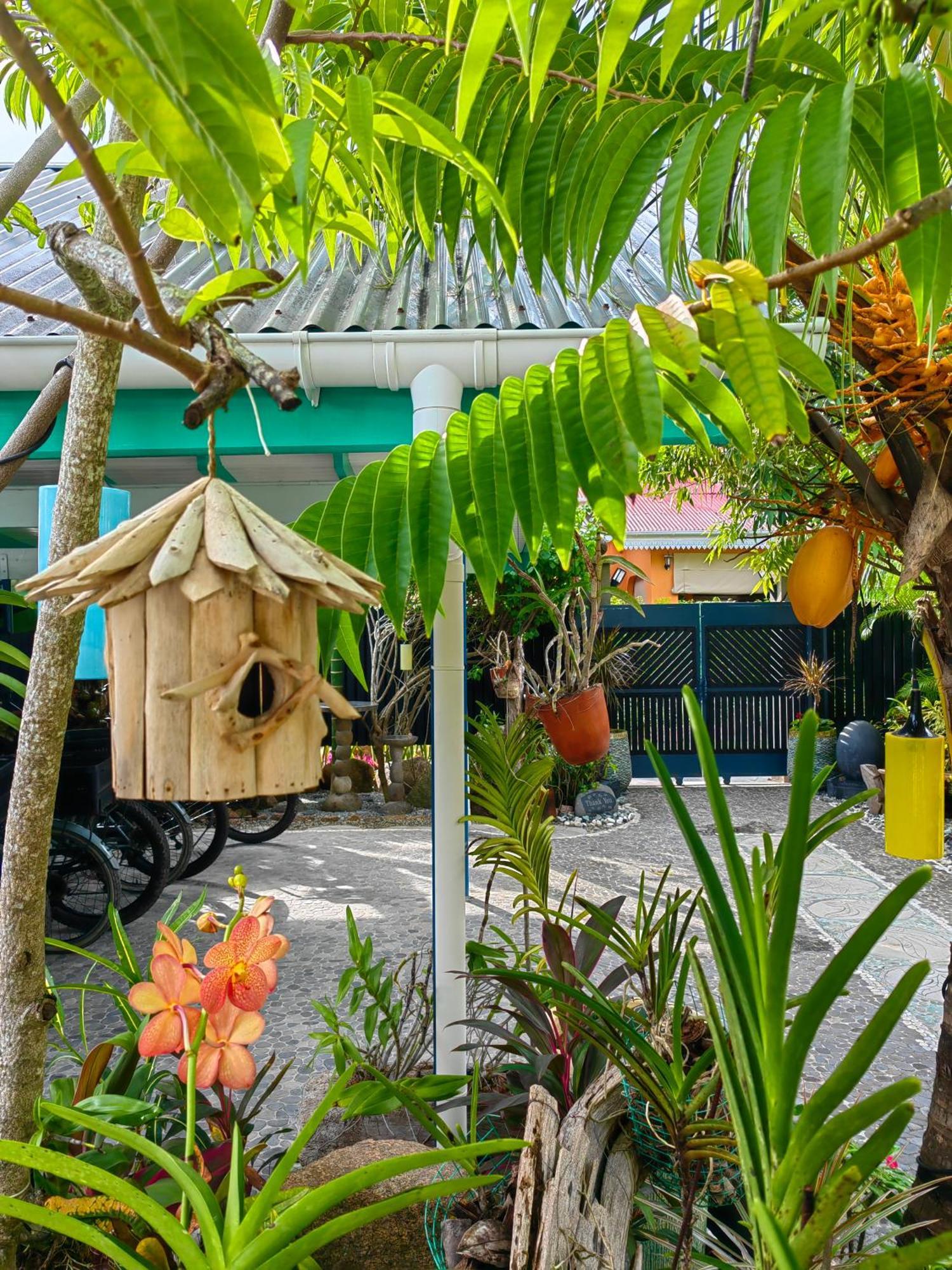 Villa Charme De L'Ile La Digue Exteriör bild